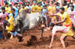 Jallikattu, manjuvirattu events leave seven dead, scores injured in Tamil Nadu